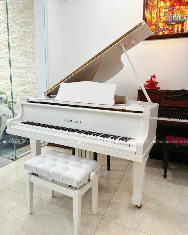 Piano Grand G2