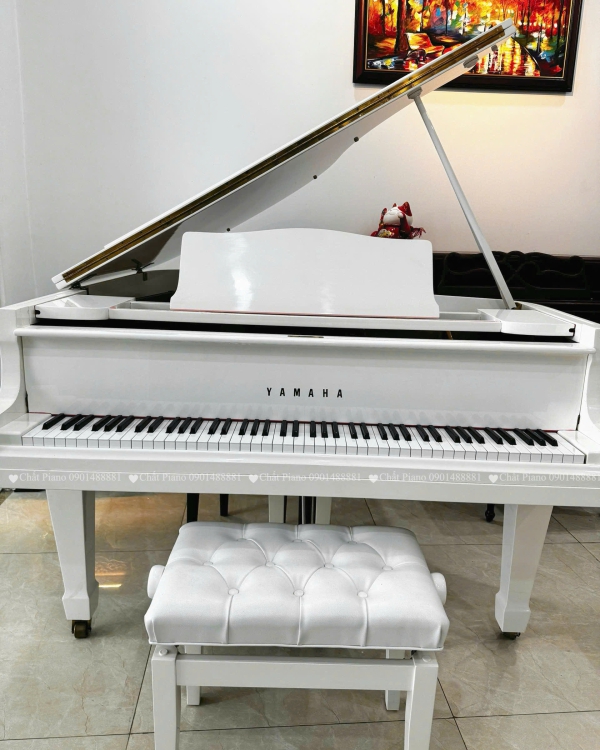ĐÀN PIANO GRAND G2