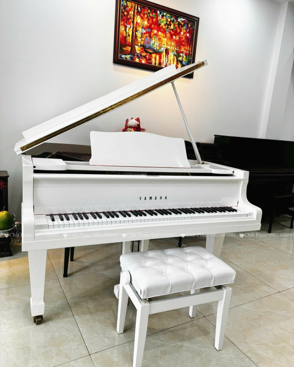 ĐÀN PIANO GRAND G2