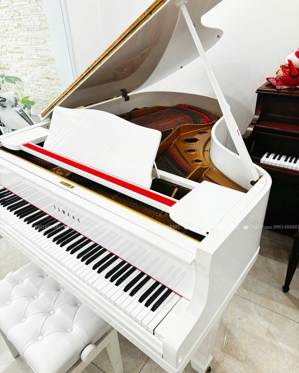 ĐÀN PIANO GRAND G2