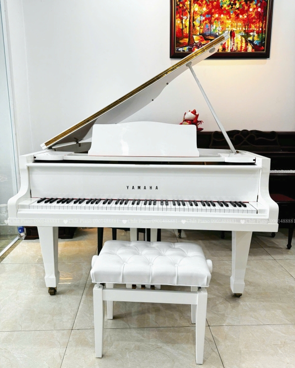 ĐÀN PIANO GRAND G2